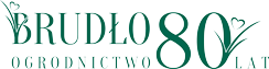 brudlo.com.pl